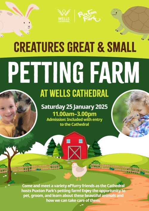 Creatures Great and Small: Puxton Park Petting Farm