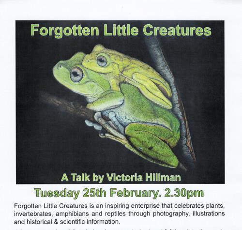 Forgotten little creatures - A talk by Victoria Hillman